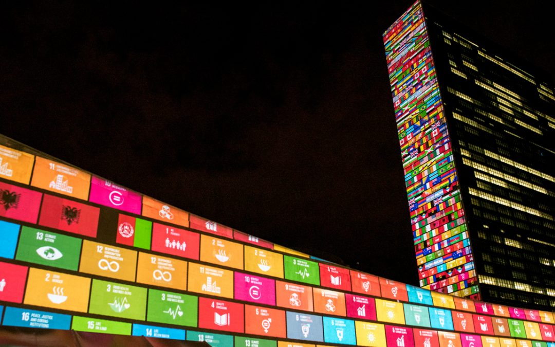 Take part: Survey Sustainable Development Goals for business