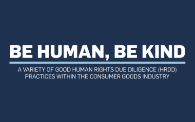 Report on Human Rights Due Diligence in the Consumer Goods Industry